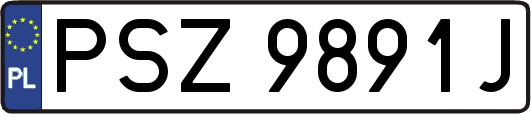 PSZ9891J
