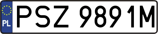 PSZ9891M