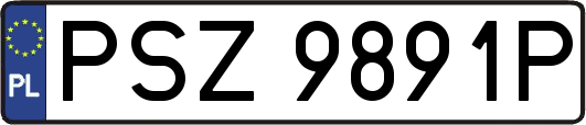 PSZ9891P