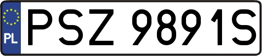 PSZ9891S
