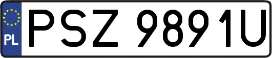 PSZ9891U