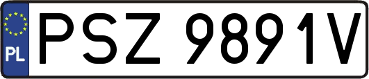 PSZ9891V