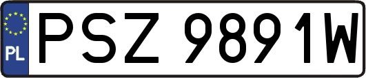 PSZ9891W
