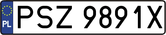 PSZ9891X
