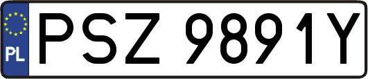 PSZ9891Y