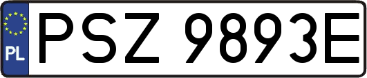 PSZ9893E