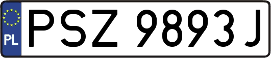 PSZ9893J