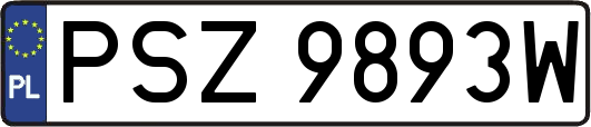 PSZ9893W