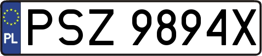 PSZ9894X
