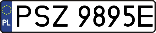 PSZ9895E