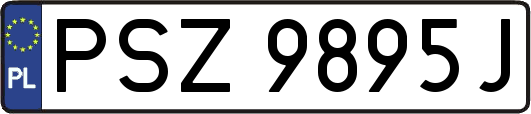 PSZ9895J