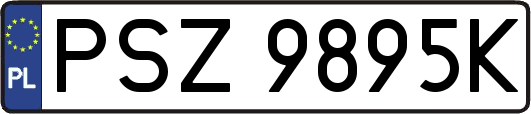 PSZ9895K