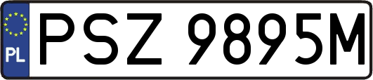 PSZ9895M