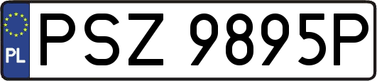 PSZ9895P
