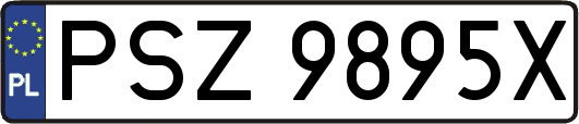 PSZ9895X