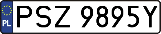 PSZ9895Y