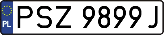 PSZ9899J