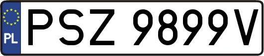 PSZ9899V