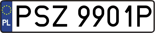 PSZ9901P