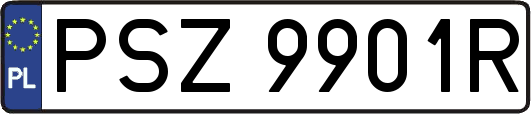 PSZ9901R