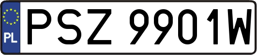 PSZ9901W