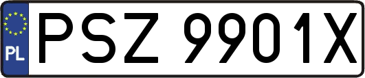 PSZ9901X