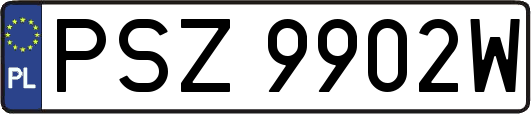 PSZ9902W