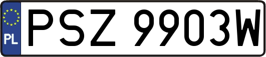 PSZ9903W