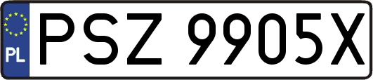 PSZ9905X