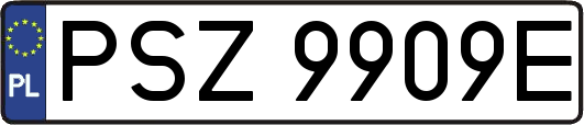 PSZ9909E