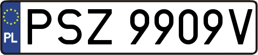 PSZ9909V