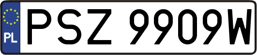 PSZ9909W