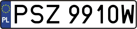 PSZ9910W