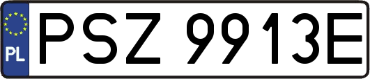 PSZ9913E
