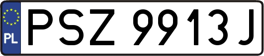 PSZ9913J
