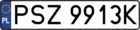 PSZ9913K
