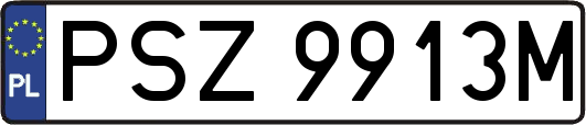 PSZ9913M