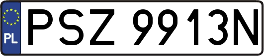 PSZ9913N