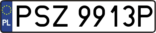 PSZ9913P