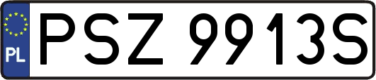 PSZ9913S