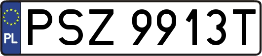PSZ9913T