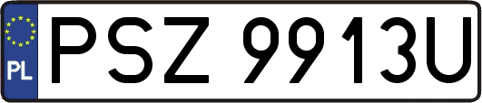 PSZ9913U