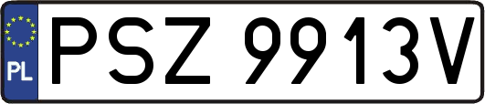 PSZ9913V