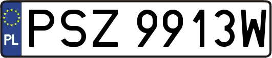 PSZ9913W