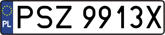 PSZ9913X