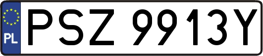 PSZ9913Y