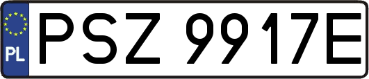 PSZ9917E