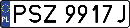 PSZ9917J