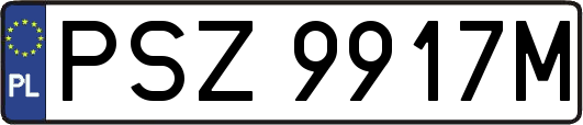 PSZ9917M