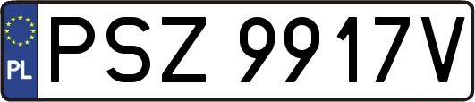 PSZ9917V